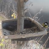 photo 2019-12-29 08-56-56