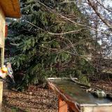 photo 2021-12-15 10-14-14