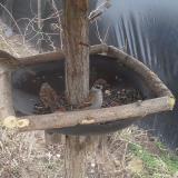 photo 2019-03-03 11-27-04