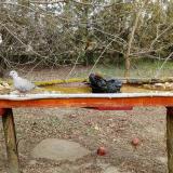 photo 2021-03-12 15-04-16