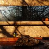 photo 2022-01-24 08-59-47