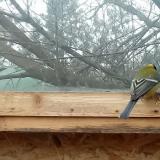 photo 2022-01-16 10-58-45 szen