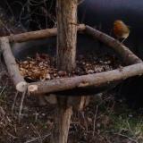 photo 2019-01-04 16-17-38