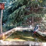 photo 2023-10-12 10-13-38