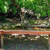 photo 2021-05-10 12-23-48