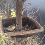 photo 2019-12-22 12-42-12