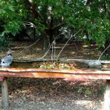 photo 2021-09-24 15-24-48