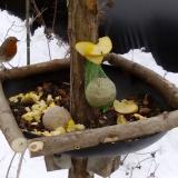 photo 2019-01-12 11-50-56