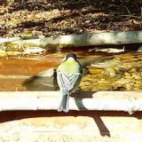 photo 2021-10-04 14-41-38 szencinege