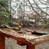 photo 2022-03-17 09-41-58