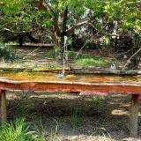 photo 2021-04-27 16-34-23