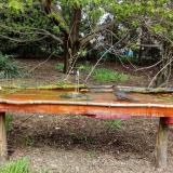 photo 2021-04-19 12-49-00