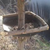 photo 2019-03-01 10-37-24