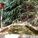 photo 2023-10-11 12-19-16