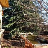 photo 2021-12-13 09-12-00