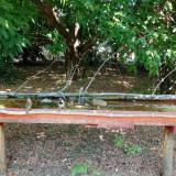 photo 2021-07-08 13-24-55