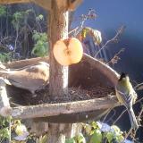 photo 2019-12-03 13-59-08