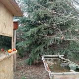 photo 2021-12-26 11-34-53