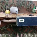 photo 2021-02-02 14-01-02