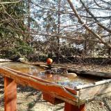 photo 2022-03-13 09-47-11