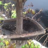 photo 2019-12-02 10-56-30