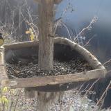 photo 2019-12-31 10-31-46