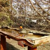 photo 2022-03-15 13-48-52