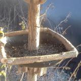 photo 2019-12-30 14-18-59