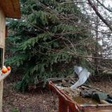 photo 2021-12-16 10-48-12