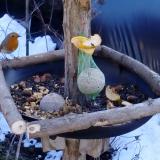 photo 2019-01-14 12-39-34