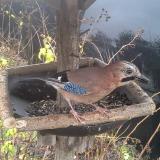 photo 2019-12-23 11-57-35