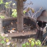 photo 2019-12-09 13-51-08