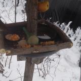 photo 2019-01-24 10-25-08