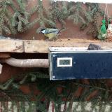 photo 2021-02-17 12-15-21