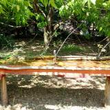 photo 2021-05-05 13-08-04