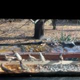 photo 2021-11-11 11-42-48