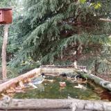 photo 2023-10-04 09-27-00