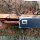 photo 2021-03-02 16-45-36