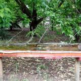 photo 2021-05-20 15-37-30