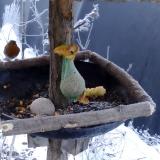 photo 2019-01-21 07-50-29