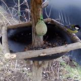 photo 2019-02-08 15-52-59