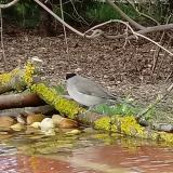 photo 2021-04-01 16-48-09 poszata