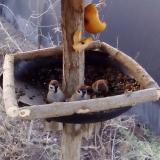 photo 2019-02-06 07-23-37