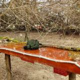 photo 2021-03-23 11-28-48