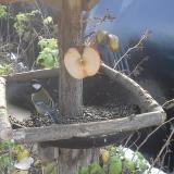 photo 2019-12-03 10-19-13