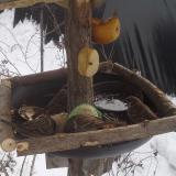 photo 2019-01-27 12-16-23