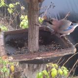 photo 2019-12-14 11-29-03