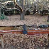 photo 2021-10-26 08-09-53