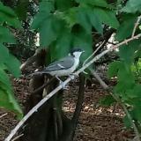 photo 2021-07-13 17-49-26cinke