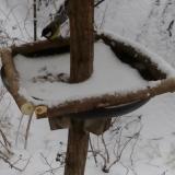 photo 2019-01-05 11-06-17